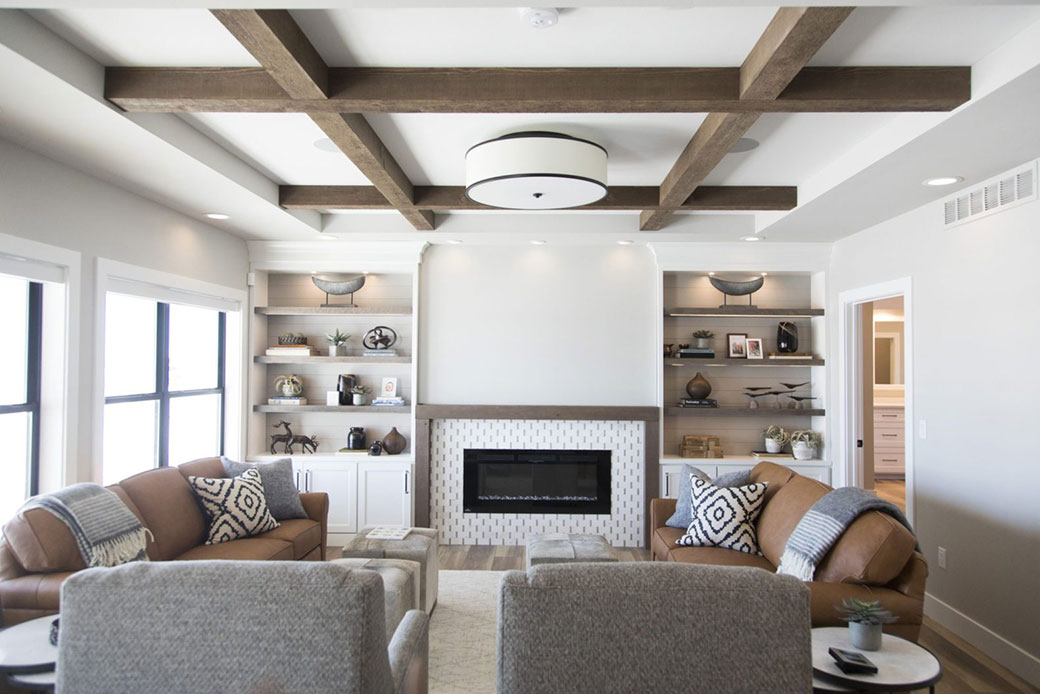 Emily Hughes Portfolio Modern Transitional Farmhouse Living Room